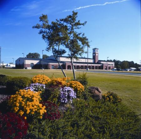 Flower Bed and Tree in Front of a Building